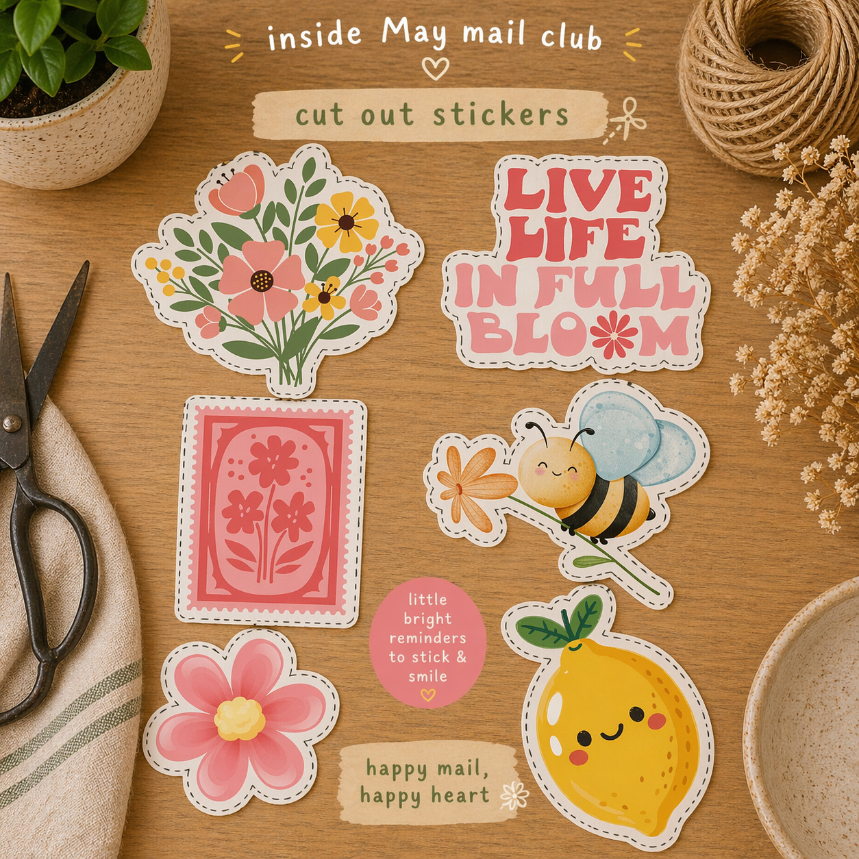 Paper Happy Monthly Mail Club Subscription