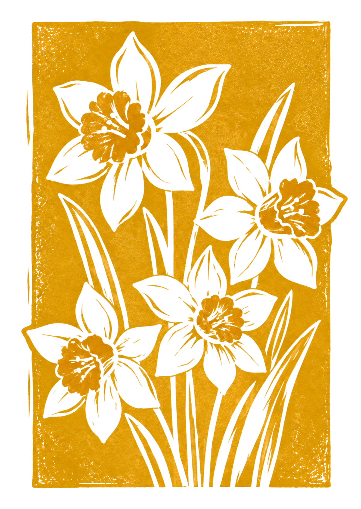 Botanical Daffodil Greeting Card