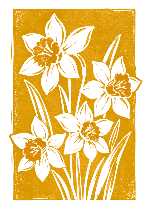 Botanical Daffodil Greeting Card