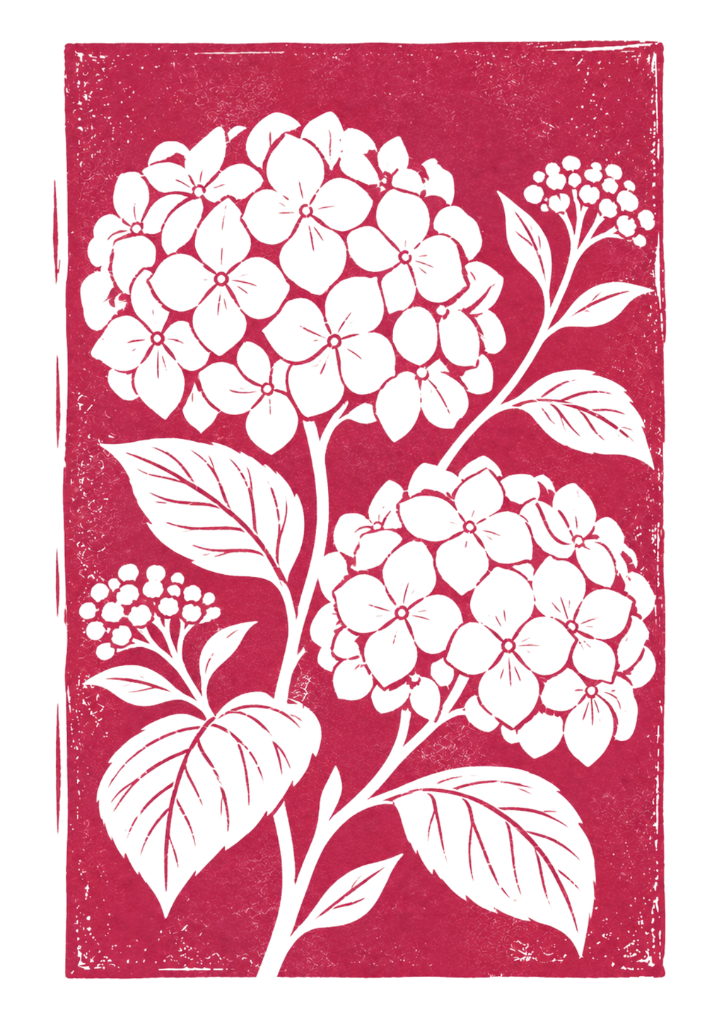 Botanical Hydrangea Greeting Card