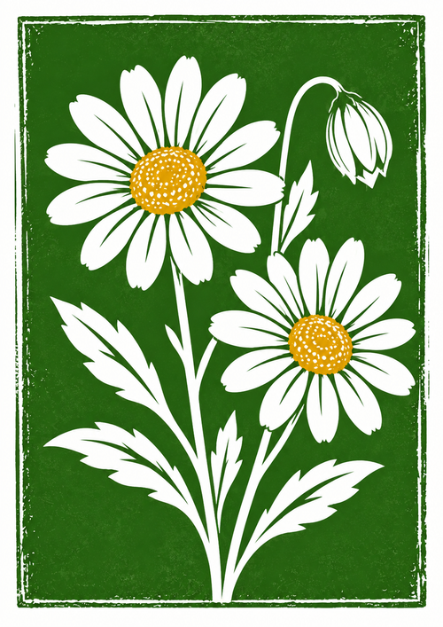 Botanical Daisy Greeting Card